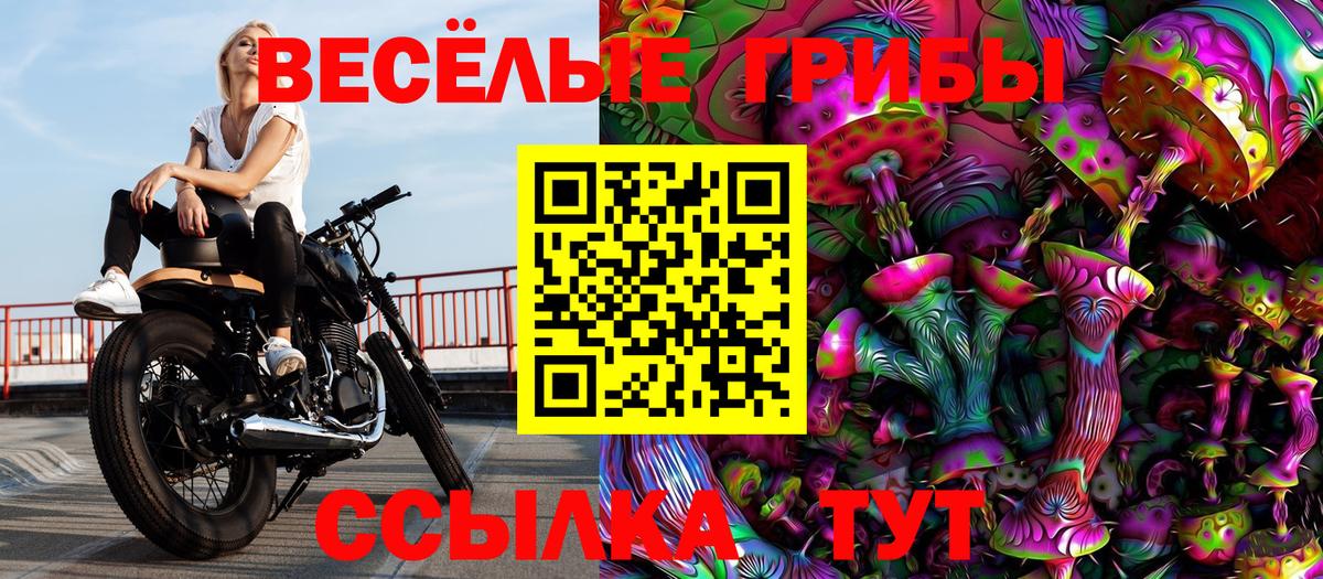 Псилоцибиновые грибы ЛСД Алексин