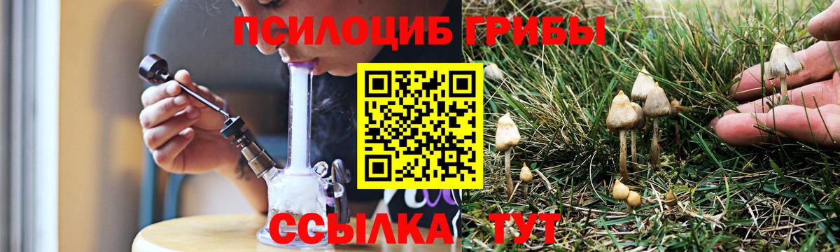 Галлюциногенные грибы GOLDEN TEACHER  Вход с VPN  Псилоцибиновые грибы Cubensis  Алексин 